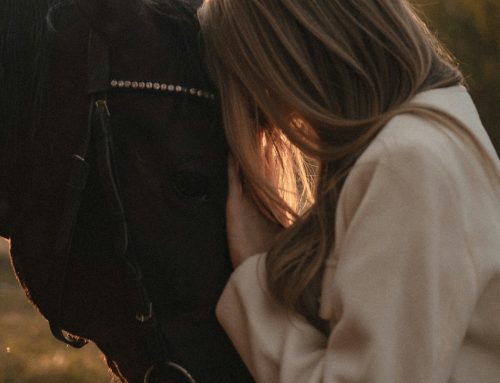 How Animal Advocacy Heals Both Hearts